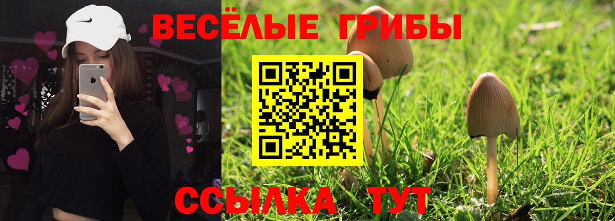Псилоцибиновые грибы MAGIC MUSHROOMS  Вход с VPN  Усинск 